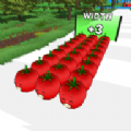 水果赛道冲刺(Fruit Lanes)