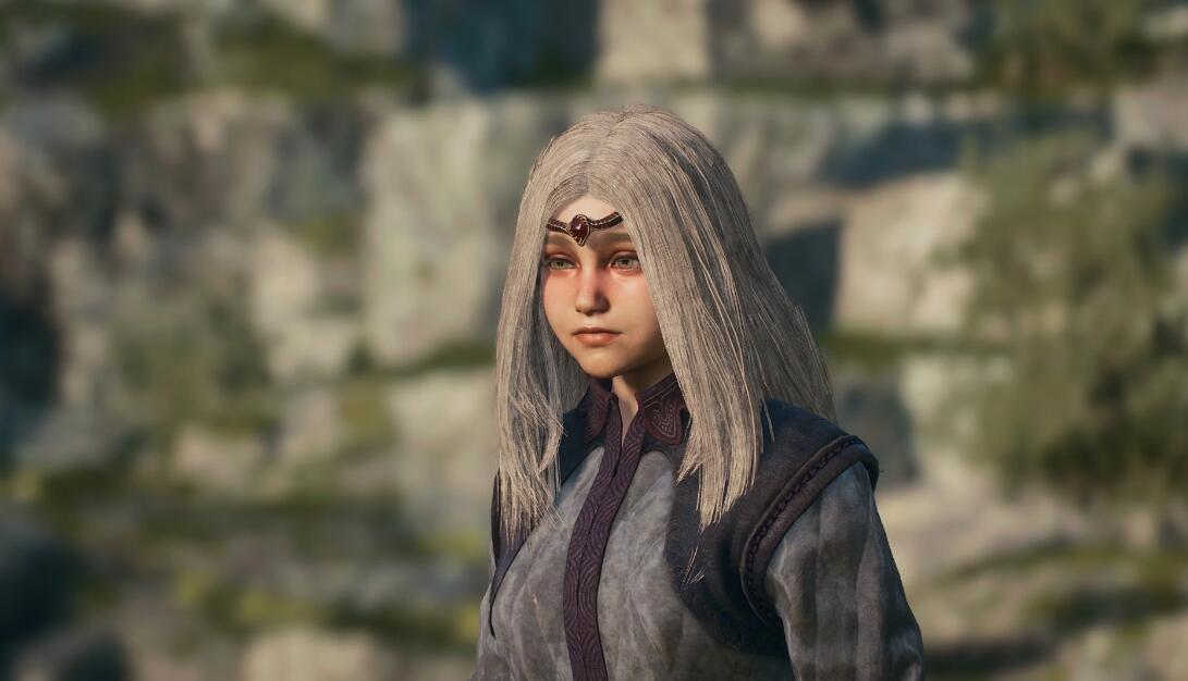 龙之信条2新长发发型mod