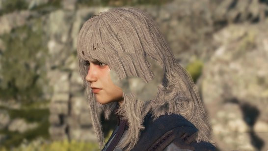 龙之信条2长发12号发型MOD