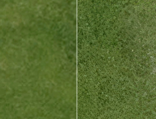 庄园领主植物纹理增强MOD