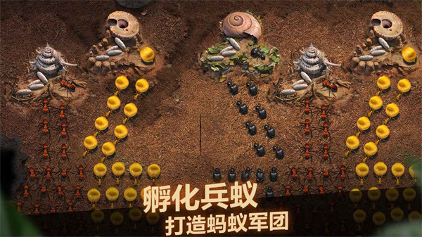 小小蚁国37版本