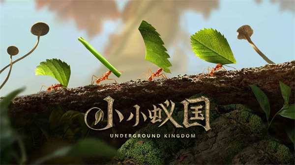 小小蚁国37版本