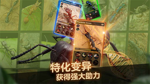 小小蚁国37版本