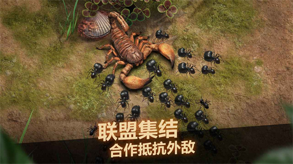 小小蚁国37版本