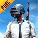 PUBG地铁逃生测试服(BETA PUBG MOBILE)