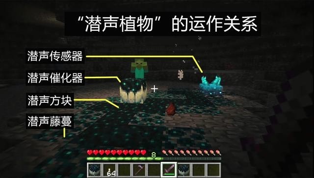 我的世界1.19国际版手机版