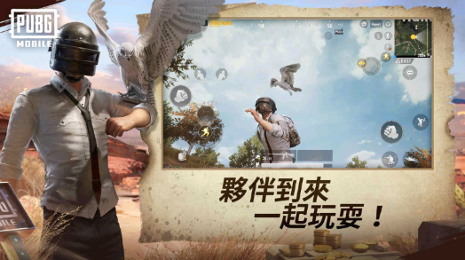 pubgmobile轻量版
