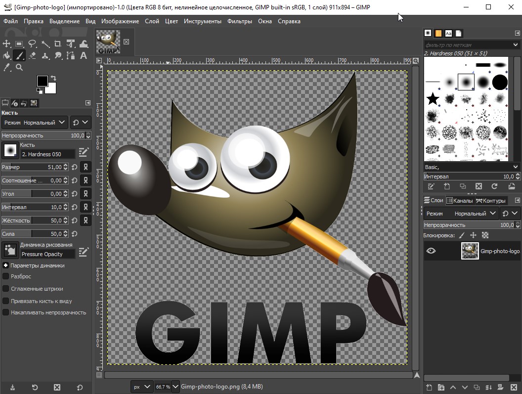 Gimp