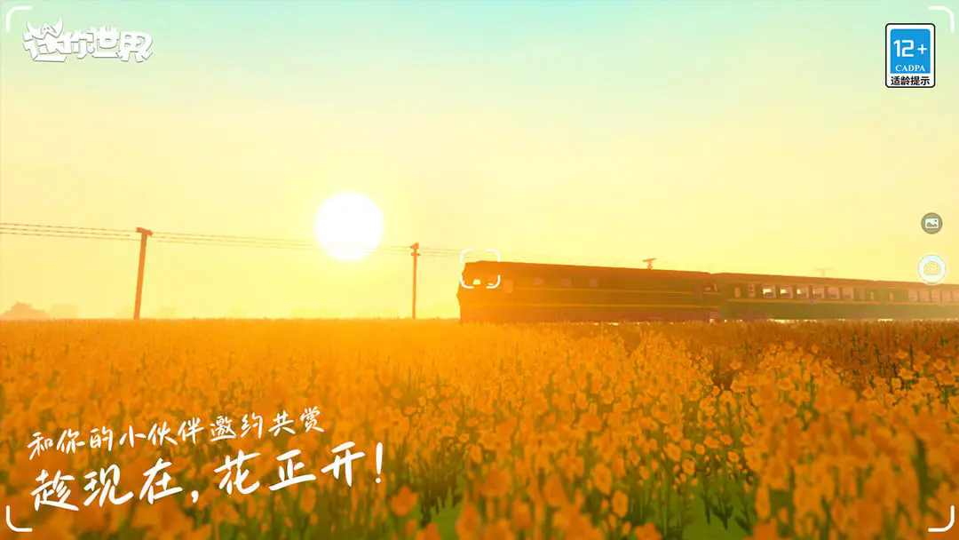 迷你世界限量版