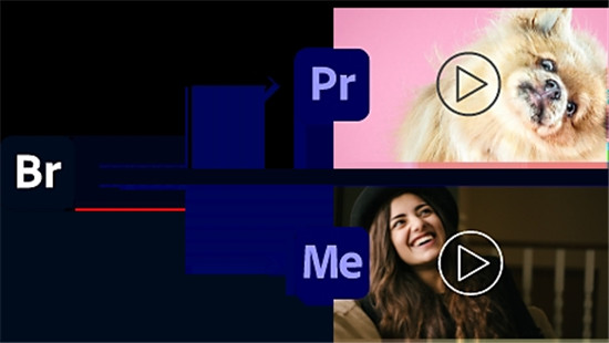 Adobe Bridge 2023
