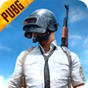 pubg测试服最新版本(BETA PUBG MOBILE)
