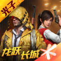 和平精英刺激战场国际服