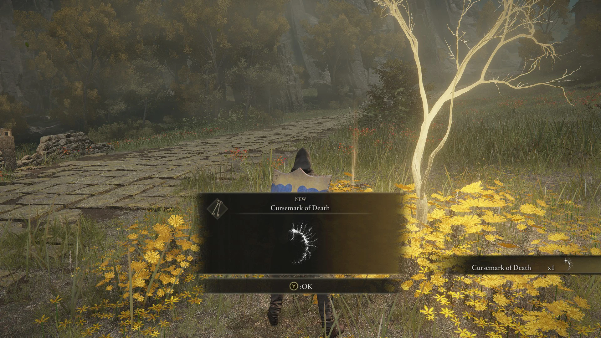 艾尔登法环随机物品敌人mod