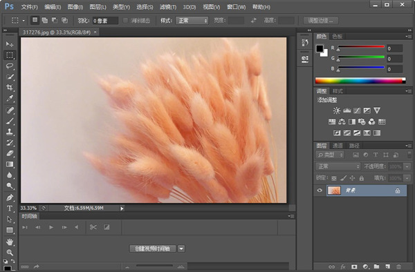 ps绿色精简版(PS CS6)