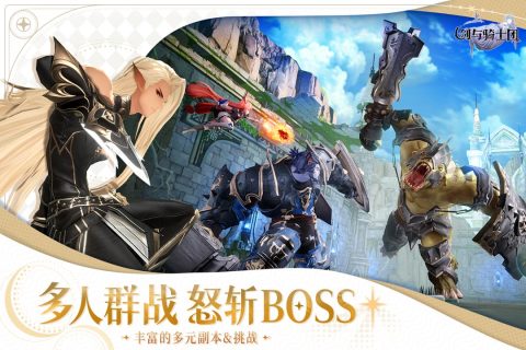 剑与骑士团官服