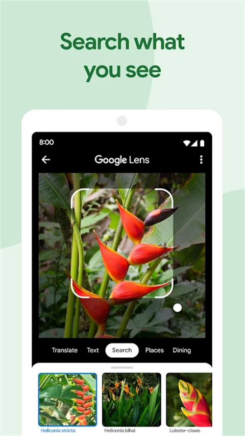google相册