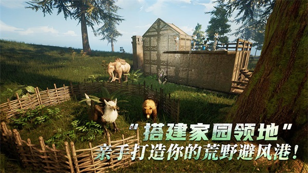 黑光生存进化国际服