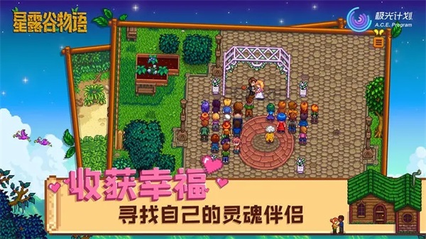 星露谷物语枫阿姨美化版(Stardew Valley)