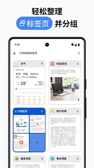 谷歌chrome浏览器