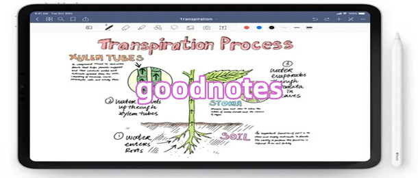 goodnotes