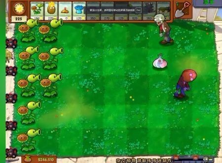 pvz杂交版2.5