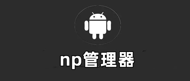 np管理器