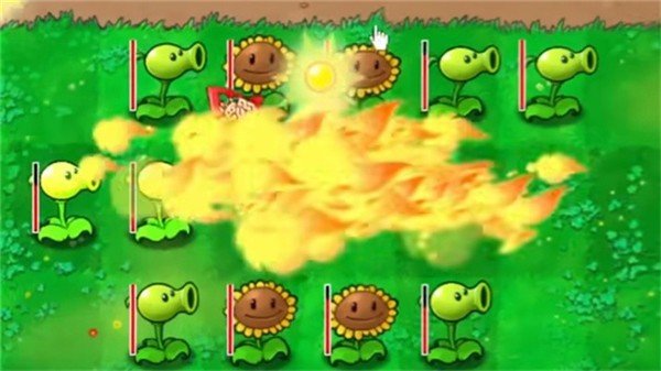 植物大战僵尸钱版南瓜君(PVZ_Pt)