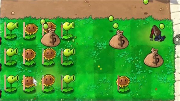 植物大战僵尸钱版南瓜君(PVZ_Pt)