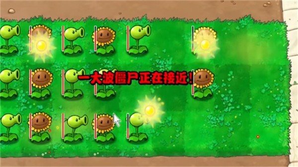 植物大战僵尸钱版南瓜君(PVZ_Pt)