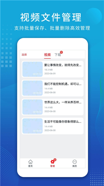 视频解析大师