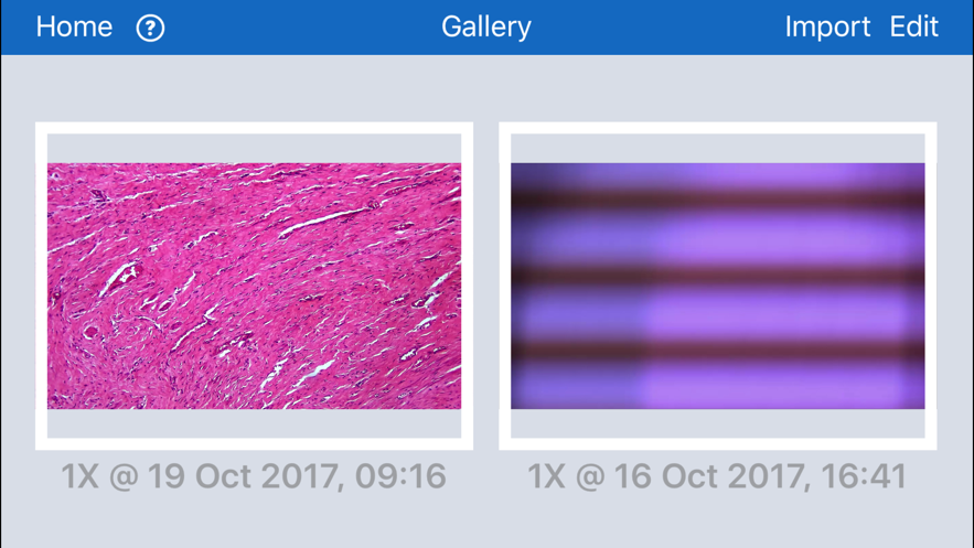 MoticNet