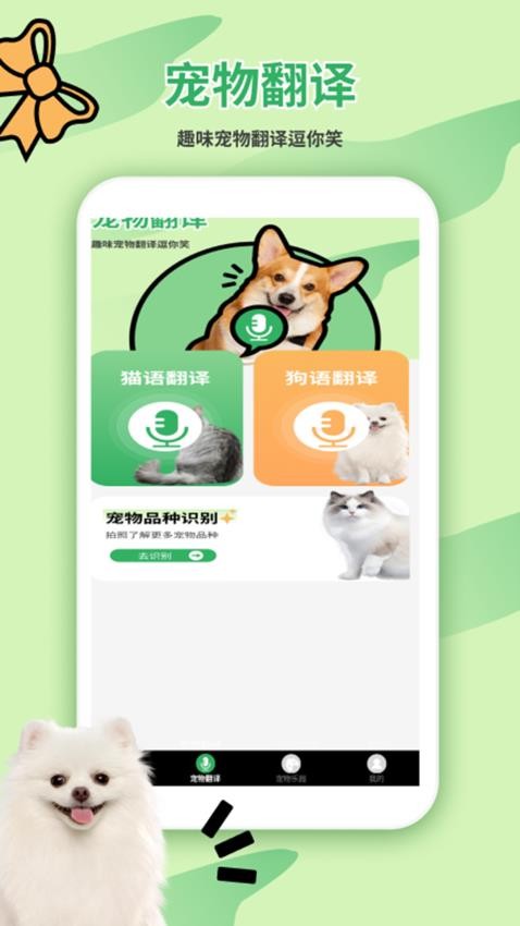 猫狗翻译器