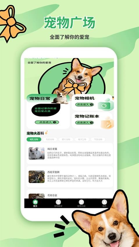 猫狗翻译器