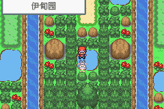口袋妖怪永恒之炎