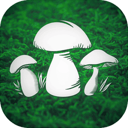 采蘑菇游戏