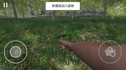 采蘑菇游戏