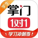 掌门1对1辅导