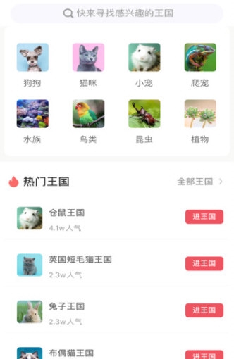 宠物王国