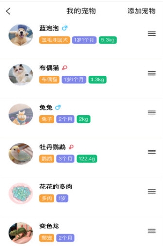 宠物王国
