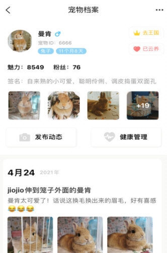 宠物王国