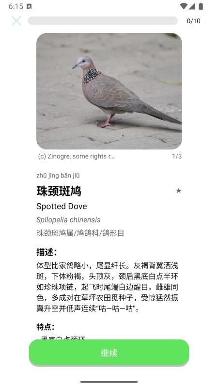 百鸟记