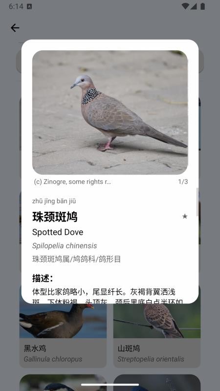 百鸟记
