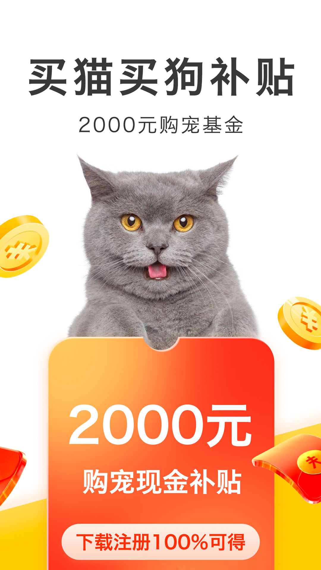 买只宠物