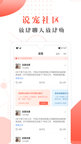 宠才宝