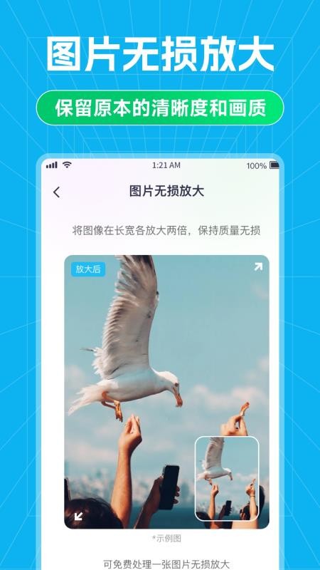安心数据助手