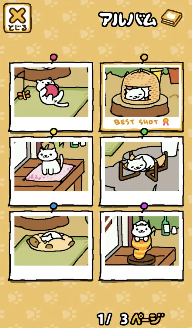 猫咪后院2国际版