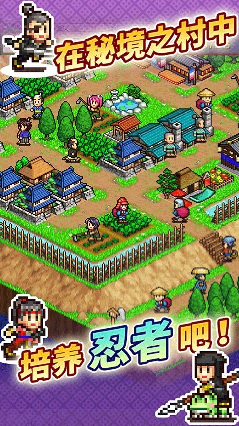 开罗合战忍者村中文版