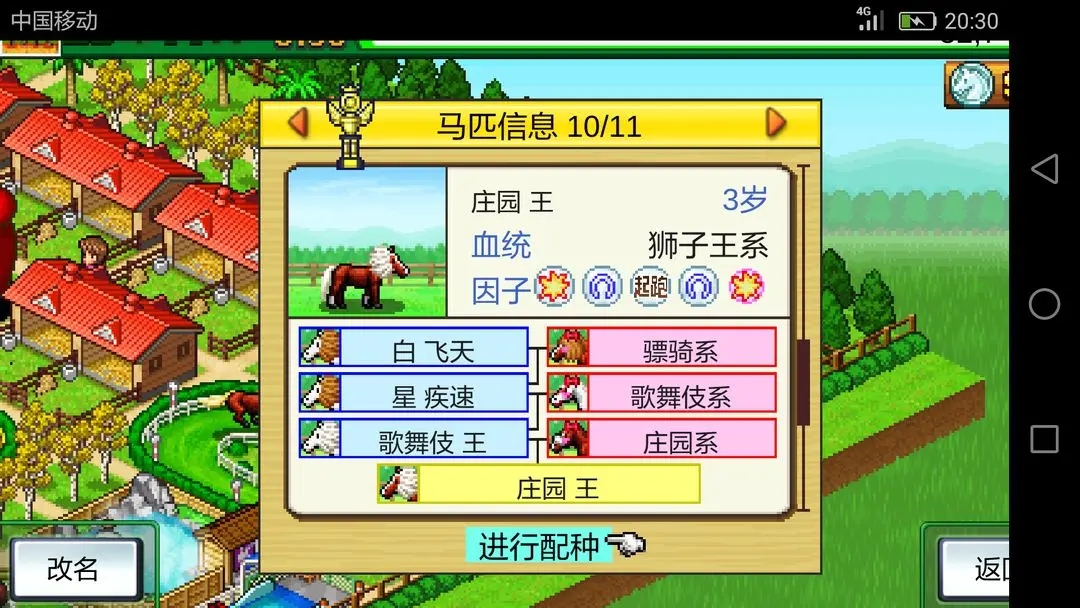 赛马牧场物语手机版