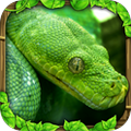 蟒蛇模拟器(SnakeSimulator)