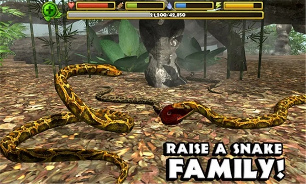 蟒蛇模拟器(SnakeSimulator)